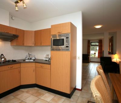 Vakantiewoningen huren in Vlagtwedde, Groningen, Nederland | wellness villa voor 6 personen