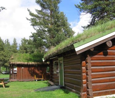 Vakantiewoningen huren in Alvdal, Hedmark, Noorwegen | vakantiehuisje voor 6 personen