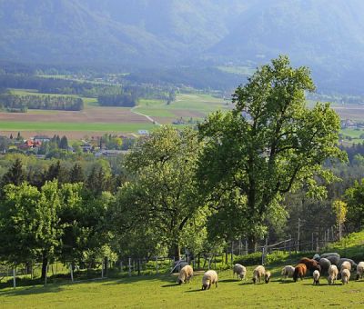 Vakantiewoningen huren in Bleiburg, Karinthië, Oostenrijk | appartement voor 4 personen