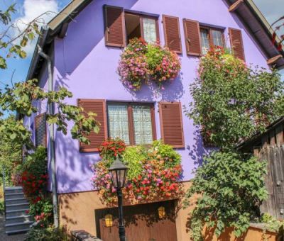 Vakantiewoningen huren in Marckolsheim, Grand-Est-Elzas-Vogezen, Frankrijk | appartement voor 4 personen
