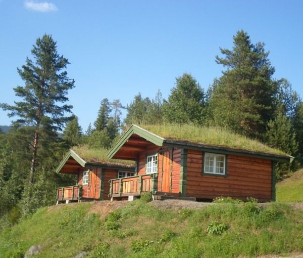 Vakantiewoningen huren in Aurdal, Oppland, Noorwegen vakantiehuisje voor 6 personen Mol Travel