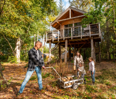 Vakantiewoningen huren in Ruinen, Drenthe, Nederland | boomhut XXL voor 6 personen