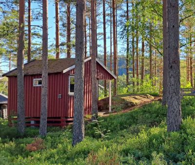 Vakantiewoningen huren in Hornnes bij Evje, Aust Agder, Noorwegen | vakantiehuisje voor 2 - 6 personen