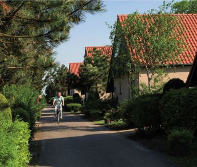 Vakantiehuis Renesse: bungalow type kc 10-personen