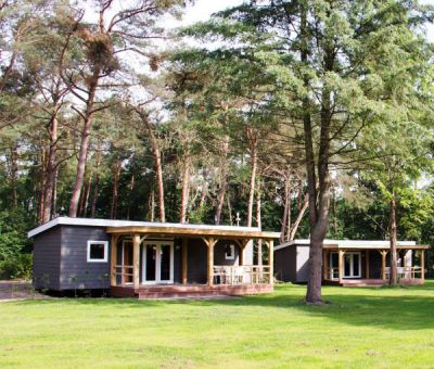 Vakantiehuis Heerde: Chalet type Anemoon 6-personen