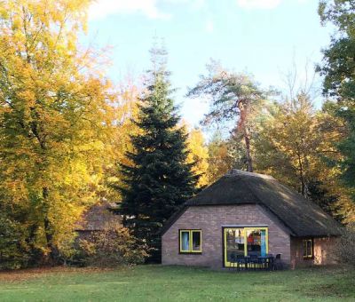 Vakantiehuis Hattem: Bungalow type Veluwe 6-personen