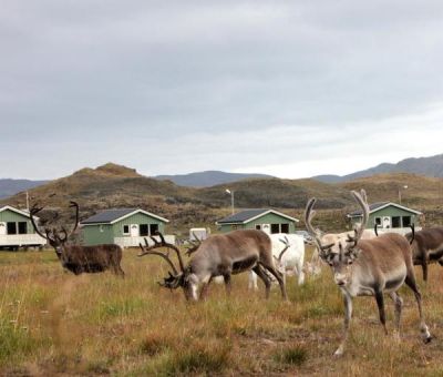 Bungalows huren in Honningsvag, Noordkaap, Finnmark, Noorwegen | vakantiehuisje voor 4 - 6 personen