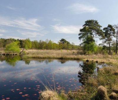 Chalets en stacaravans huren in Herkenbosch, Roermond, Limburg, Nederland | vakantiehuisje voor 4 personen