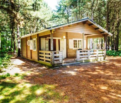 Vakantiehuis Chaam: Lodge type Forest 4-personen