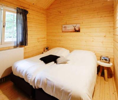 Vakantiehuis Epe; Lodge type Veluwse lodge 6-personen