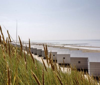 Vakantiehuis Julianadorp aan Zee: Beach House type Comfort 4-personen