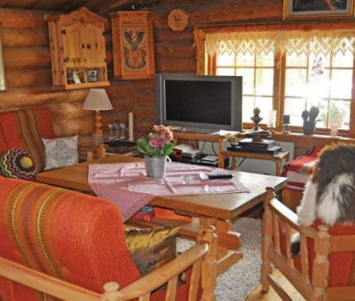 Vakantiewoningen huren in Lekvattnet Torsby, Varmland Dalsland, Zweden | vakantiehuisje voor 6 personen