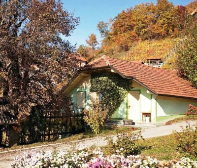 Vakantiewoningen huren in Trebnje, Novo Mesto, Zuid Oost Slovenie, Slovenie | vakantiehuis voor 6 personen