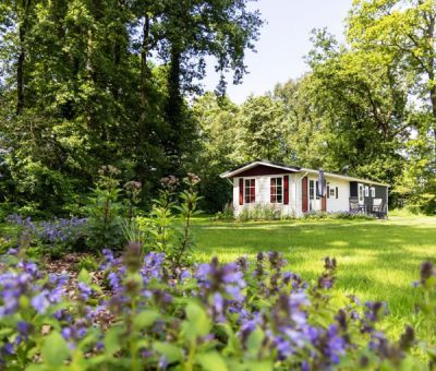 Vakantiehuis Winterswijk: Chalet type Boerderij 6-personen