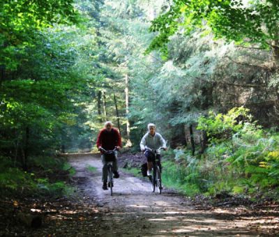 Vakantieboerderijtje huren in Ermelo, de Veluwe, Gelderland, Nederland | vakantiehuisje voor 4 personen